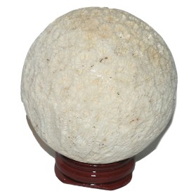 Sfera coral fosil slefuit unicat