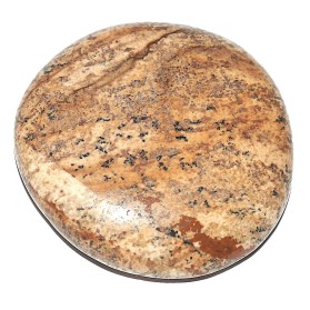 Jasp peisaj palm stone 3,5 cm.