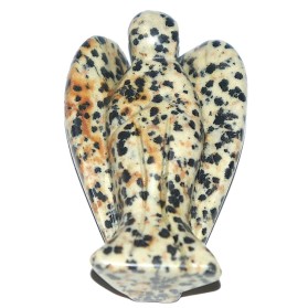 Ingeras jasp dalmatian unicat