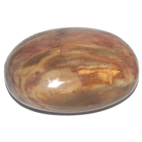 Jasp palm stone unicat Jasp palm stone unicat